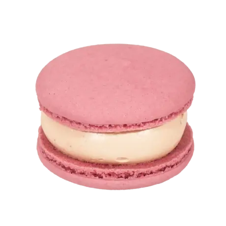 Blueberry Macaron